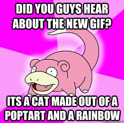 Did you guys hear about the new gif? its a cat made out of a poptart and a rainbow  Slowpoke