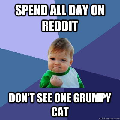 Spend all day on Reddit Don't see one Grumpy Cat - Spend all day on Reddit Don't see one Grumpy Cat  Success Kid