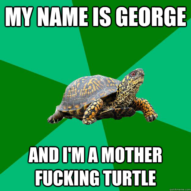 My name is george and i'm a mother fucking turtle  Torrenting Turtle