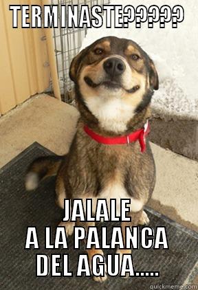 TERMINASTE????? JALALE A LA PALANCA DEL AGUA..... Good Dog Greg