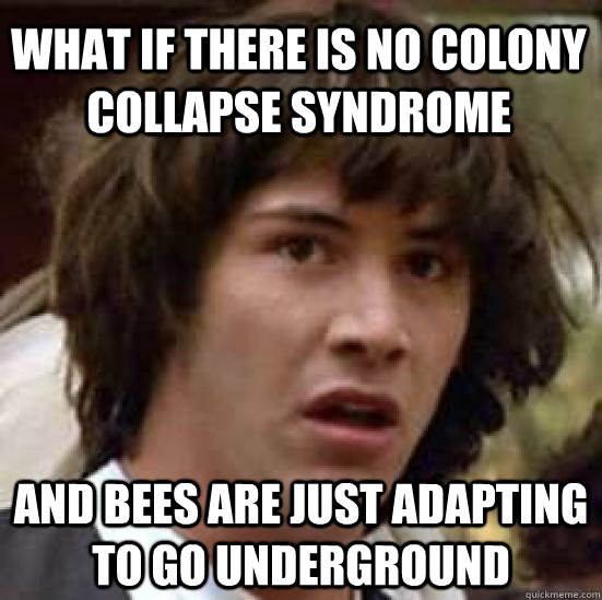 what if there is no colony collapse syndrome  and bees are just adapting to go underground  - what if there is no colony collapse syndrome  and bees are just adapting to go underground   conspiracy keanu