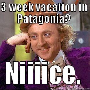 3 WEEK VACATION IN PATAGONIA? NIIIICE. Condescending Wonka