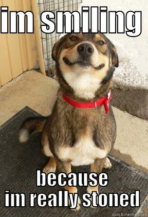 IM SMILING  BECAUSE IM REALLY STONED Good Dog Greg