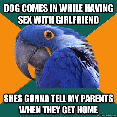 dog comes in while having sex with girlfriend shes gonna tell my parents when they get home  Paranoid Parrot