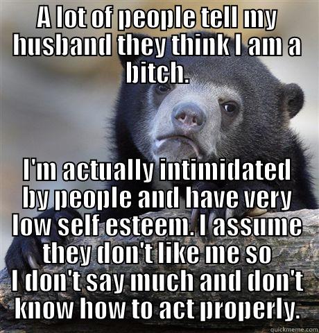 A LOT OF PEOPLE TELL MY HUSBAND THEY THINK I AM A BITCH. I'M ACTUALLY INTIMIDATED BY PEOPLE AND HAVE VERY LOW SELF ESTEEM. I ASSUME THEY DON'T LIKE ME SO I DON'T SAY MUCH AND DON'T KNOW HOW TO ACT PROPERLY. Confession Bear