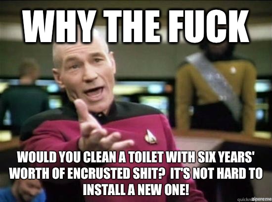 Why the fuck Would you clean a toilet with six years' worth of encrusted shit?  It's not hard to install a new one!  Annoyed Picard HD