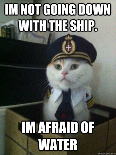 Im not going down with the ship. Im afraid of water  - Im not going down with the ship. Im afraid of water   Captain kitteh