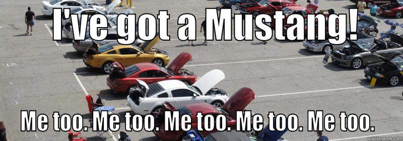        I'VE GOT A MUSTANG!       ME TOO. ME TOO. ME TOO. ME TOO. ME TOO.  Misc