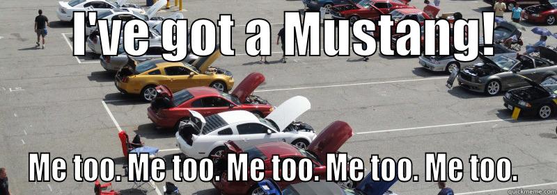 Everyone has a mustang. -        I'VE GOT A MUSTANG!       ME TOO. ME TOO. ME TOO. ME TOO. ME TOO.  Misc