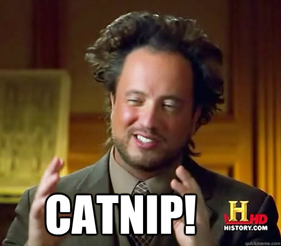  Catnip!  Ancient Aliens
