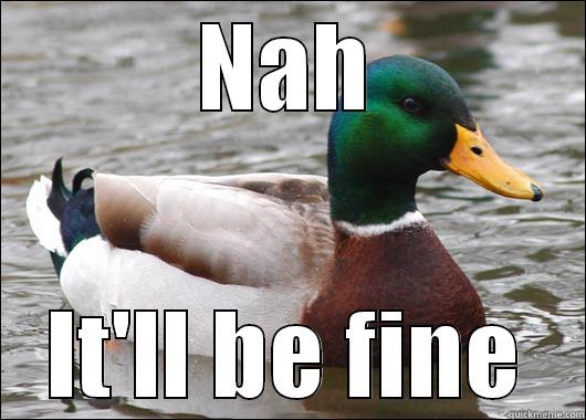 NAH IT'LL BE FINE Actual Advice Mallard