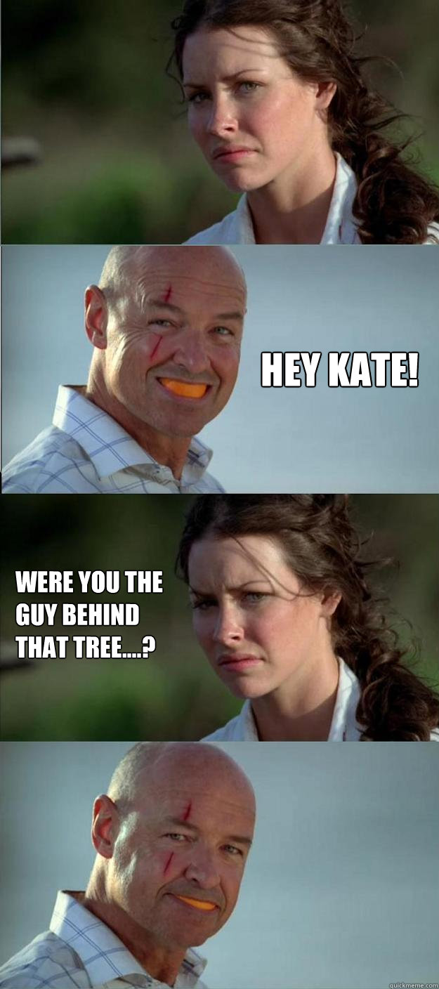  Hey Kate! Were you the guy behind that tree....?   Lost