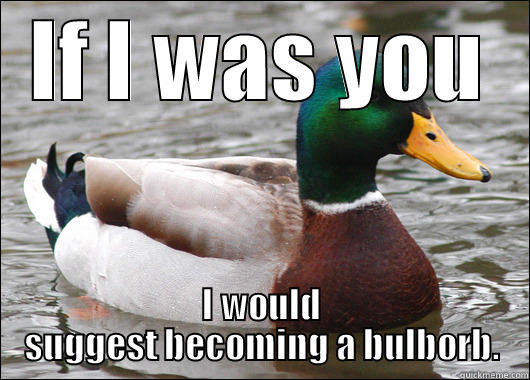 IF I WAS YOU I WOULD SUGGEST BECOMING A BULBORB. Actual Advice Mallard