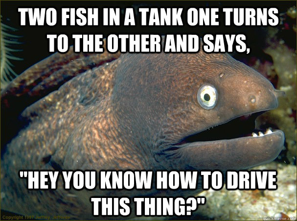 Two fish in a tank one turns to the other and says, 