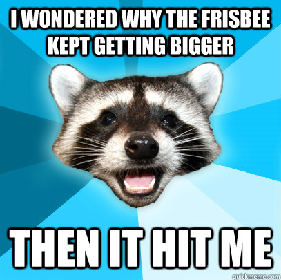 I WONDERED WHY THE FRISBEE KEPT GETTING BIGGER THEN IT HIT ME  Lame Pun Coon