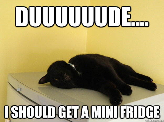 Duuuuuude.... i should get a mini fridge  Stoned Cat