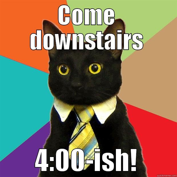 COME DOWNSTAIRS 4:00-ISH! Business Cat