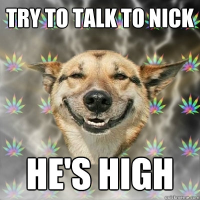 try to talk to nick He's HIGH  Stoner Dog