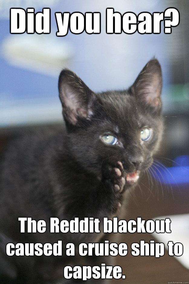 Did you hear? The Reddit blackout caused a cruise ship to capsize. - Did you hear? The Reddit blackout caused a cruise ship to capsize.  Gossip Cat
