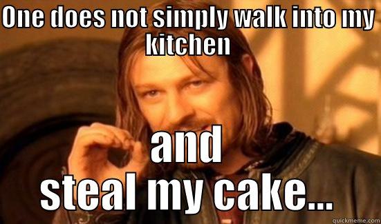 ONE DOES NOT SIMPLY WALK INTO MY KITCHEN AND STEAL MY CAKE... Boromir