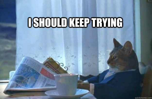  i should keep trying   Sophisticated Cat