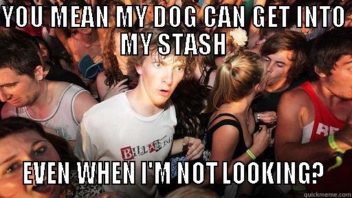 YOU MEAN MY DOG CAN GET INTO MY STASH  EVEN WHEN I'M NOT LOOKING?  Sudden Clarity Clarence