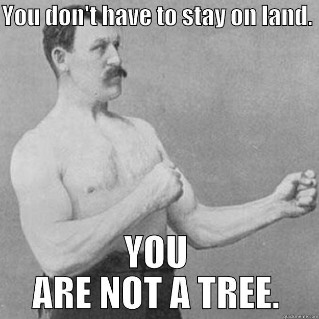 YOU DON'T HAVE TO STAY ON LAND.  YOU ARE NOT A TREE. overly manly man