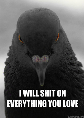 i will shit on everything you love - i will shit on everything you love  evil pigeon