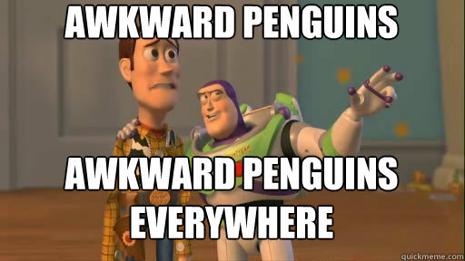 Awkward penguins awkward penguins everywhere  Everywhere