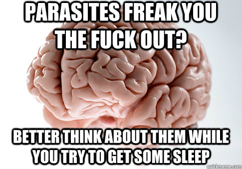 PARASITES FREAK YOU THE FUCK OUT? BETTER THINK ABOUT THEM WHILE YOU TRY TO GET SOME SLEEP    Scumbag Brain