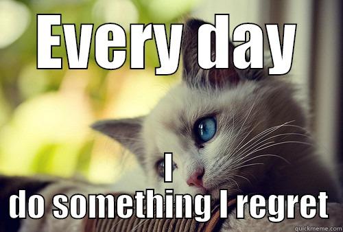 EVERY DAY I DO SOMETHING I REGRET First World Problems Cat