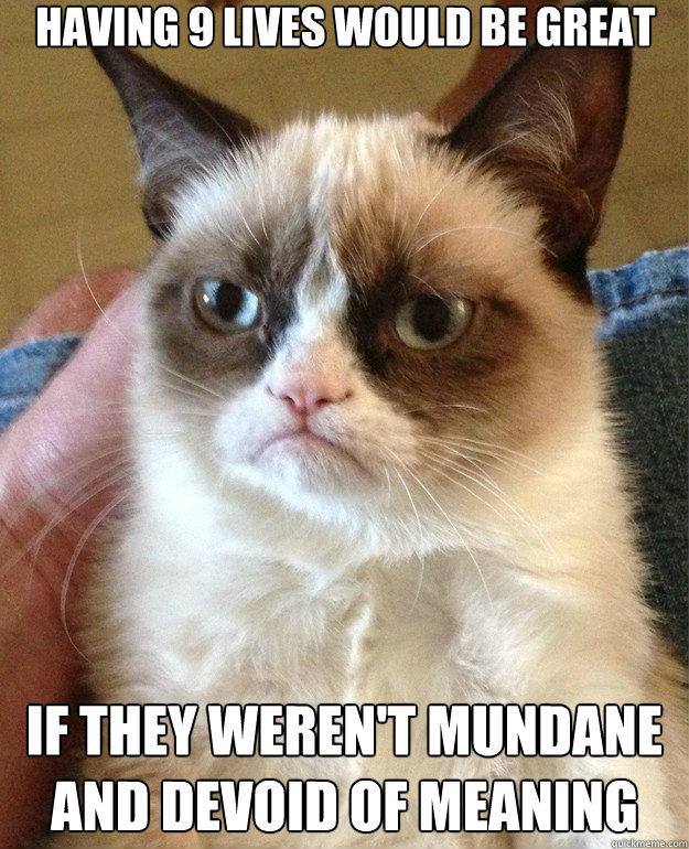 having 9 lives would be great if they weren't mundane and devoid of meaning  Grumpy Cat