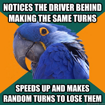 Notices the driver behind making the same turns Speeds up and makes random turns to lose them  Paranoid Parrot