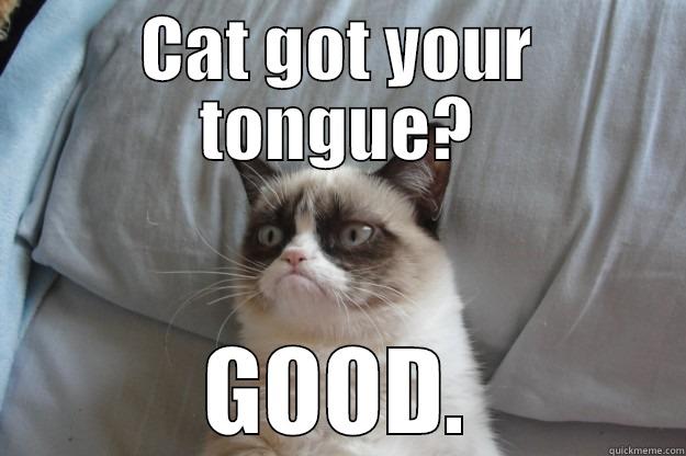 CAT GOT YOUR TONGUE? GOOD. Grumpy Cat