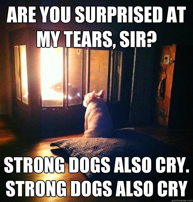 Are you surprised at my tears, sir? Strong dogs also cry. Strong dogs also cry - Are you surprised at my tears, sir? Strong dogs also cry. Strong dogs also cry  Lebowski Dog