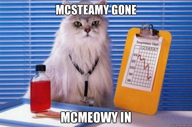 McSteamy Gone McMeowy In  