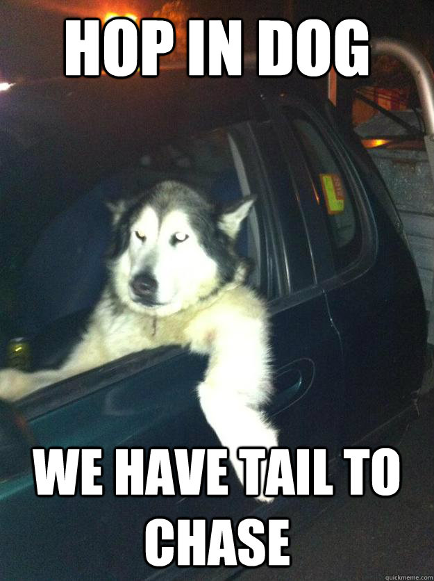 Hop in dog we have tail to chase  Mean Dog