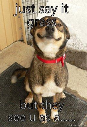 JUST SAY IT GRASS BUT THEY SEE U AS A...... Good Dog Greg