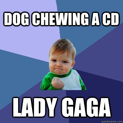 DOG CHEWING A CD LADY GAGA  Success Kid