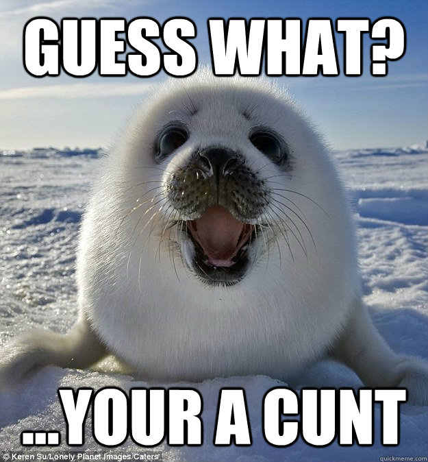 guess what? ...your a cunt - guess what? ...your a cunt  smiling seal