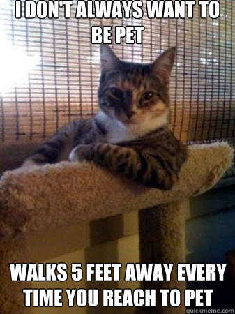 i don't always want to be pet walks 5 feet away every time you reach to pet  The Most Interesting Cat in the World