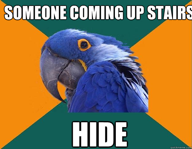 Someone coming up stairs HIDE  Paranoid Parrot