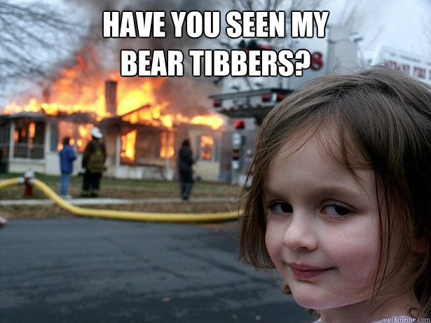 Have you seen my
Bear Tibbers?   Disaster Girl