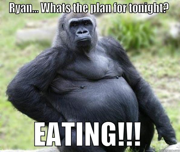 Ryan... Whats the plan for tonight? - RYAN... WHATS THE PLAN FOR TONIGHT? EATING!!! Misc