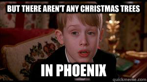 But There aren't any Christmas trees in phoenix - But There aren't any Christmas trees in phoenix  Misc