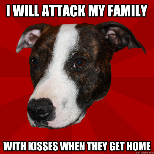 i will attack my family with kisses when they get home   