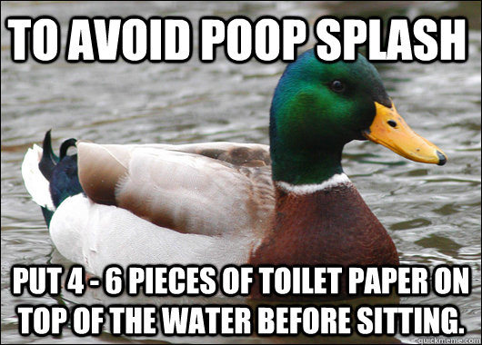 To avoid poop splash Put 4 - 6 pieces of toilet paper on top of the water before sitting.  Actual Advice Mallard