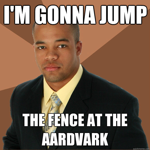 I'm gonna jump the fence at the aardvark  Successful Black Man