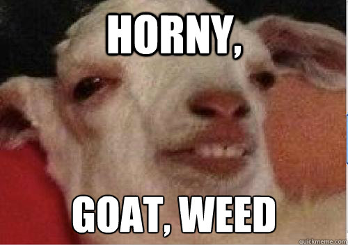 HORNY, GOAT, WEED  10 Goat