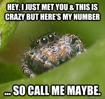Hey, I just met you & this is crazy but here's my number ... SO CALL ME MAYBE.  Misunderstood Spider
